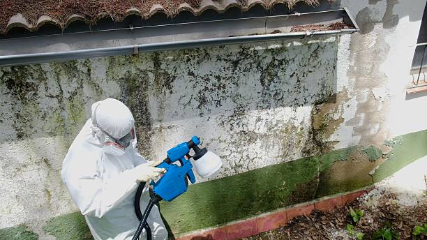 Top rated local Attic Mold Remediation specialists in Ridgefield, WA